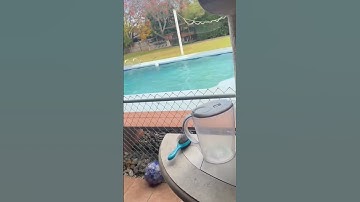 Thumbnail of Tsunami warning after earthquake rocks California