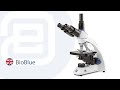 Euromex bioblue setup and tutorial