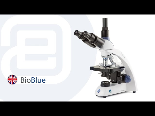 Euromex BioBlue setup and tutorial