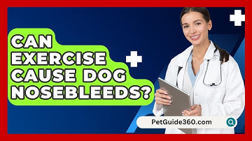 Can Exercise Cause Dog Nosebleeds? - PetGuide360.com