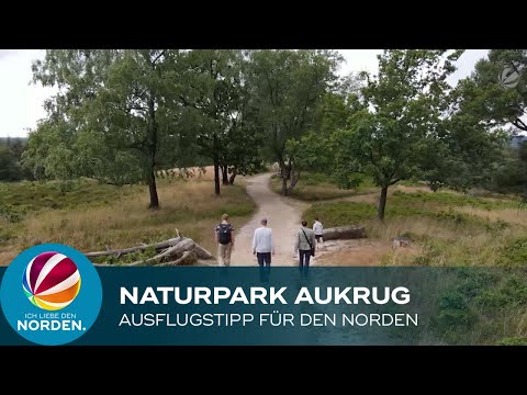 Naturpark Aukrug bei Neumünster – Die SAT.1 REGIONAL Sommertour