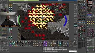 [Tibia] Twitch Stream 19/11/2024