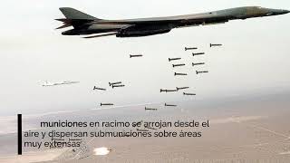 1Ro De Agosto 10 Aniversario De La Ratificación De La Convención Sobre Municiones En Racimo