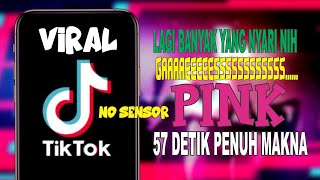 VIRAL !!!  TIKTOK BOCIL PINK KORBANKAN AKAL SEHAT DEMI FOLLOWERS