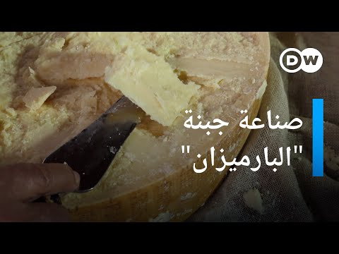 ما العناصر الأساسية لجبنة بارميزان أصلية يوروماكس
