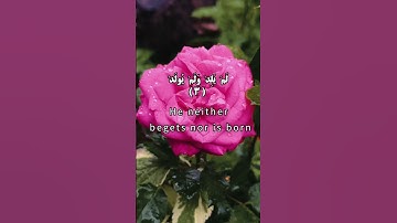 سوره اخلاص ، گوینده #بهروز_رضوی ،مترجم#مسعود_ریاعی #ترجمه_فارسی_قرآن