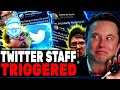 Twitter Employees RAGE Online About Elon Musk Purchase! Rumors Of A Full Buyout Surface!