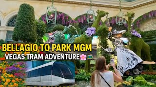 Exploring Bellagio & Riding the Aria Tram to Park MGM Las Vegas | Conservatory & Botanical Gardens