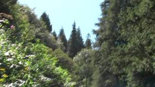 Сарканд.Каргалинка.VOB Сарканд.Каргалинка.VOB