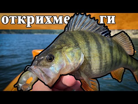 Гол след гол!