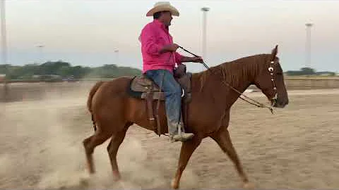 Kelly Jamison on Quigley