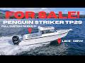 FOR SALE! Penguin Striker TP29 *FULL REBUILD, VIRTUALLY NEW BOAT* "Ableone"