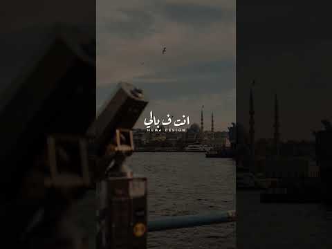 لسه معايا صورنا اكسبلور حلات تصميمي حالات واتس حالاتواتس لايك حالاتواتساب ترند ستوريات