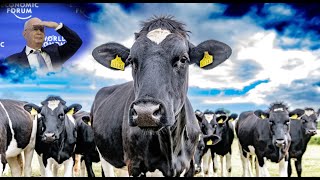 Коровы и фермеры мстят К.Швабу и Ко в Брюсселе.Правительственный квартал залит жидким навозом