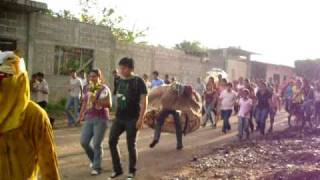 baile jaguar