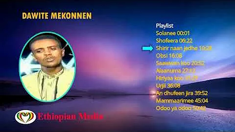 Dawite Mekonnin 1996 album SOLANE