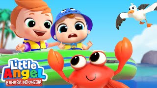Lihatlah Ada Kepiting di Pantai!  🏖 Kartun Anak | Little Angel Bahasa Indonesia