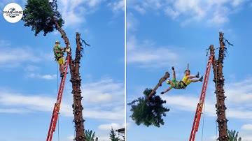 Idiots With Chainsaws: Tree Cutting Fails | Extreme Dangerous Logging Truck Fails