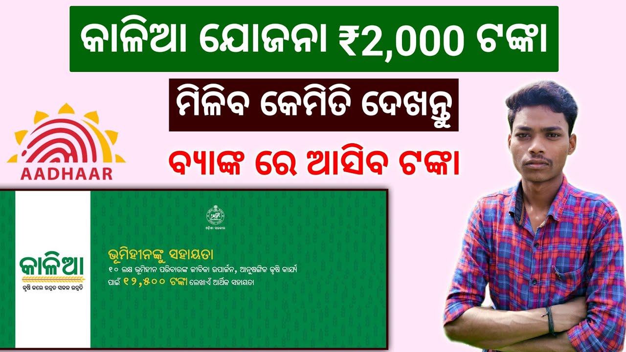 Kalia Yojana Payment Not Received Kalia Paisa Kemiti Dekhiba Dbt kalia-yojana-payment-not-received-kalia-paisa-kemiti-dekhiba-dbt