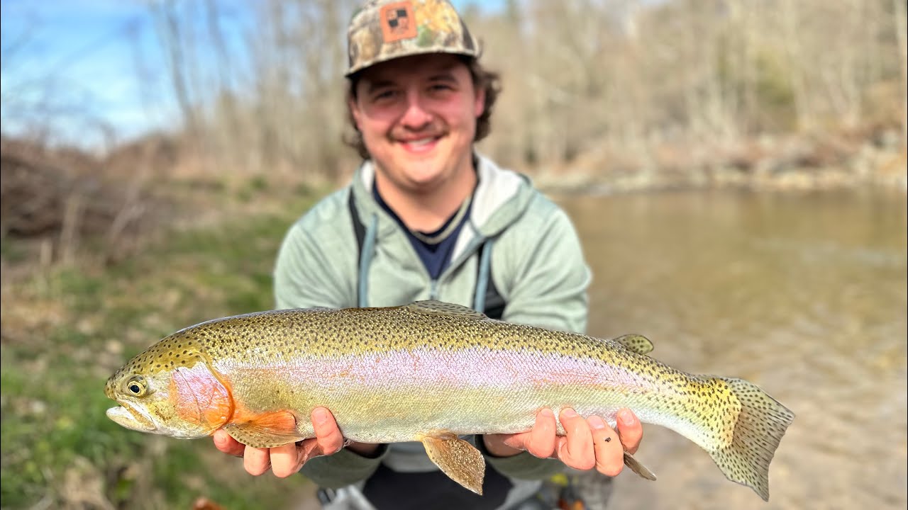 Fly Fishing for trophy 28” Rainbow Trout in NC I Trout Fishing