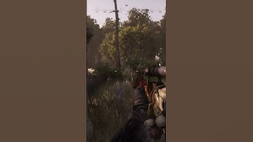 This guy right here.. #hunthowdown #huntshowdown #gaming #streamer #twitch #funny