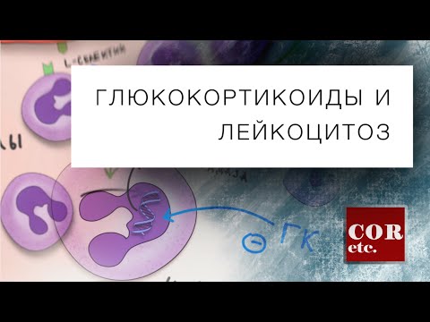 Глюкокортикостероиды и лейкоцитоз.