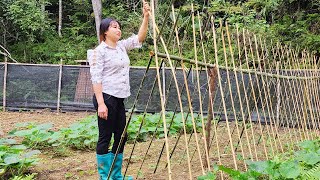 TIMELAPSE: 230 Days Build a selfsufficient farm  Free woman living with nature | Pham Tâm