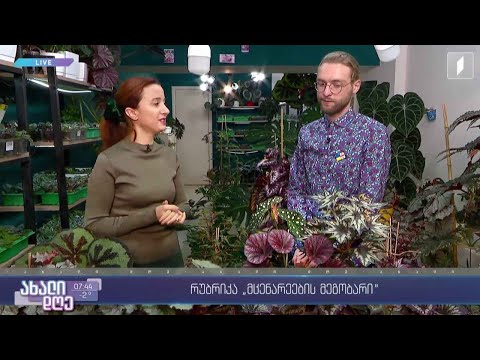 ვიდეო: მუწუკის მცენარეების გავრცელებული მავნებლები - ბაღებში მჟავე მცენარეების მავნებლების კონტროლი