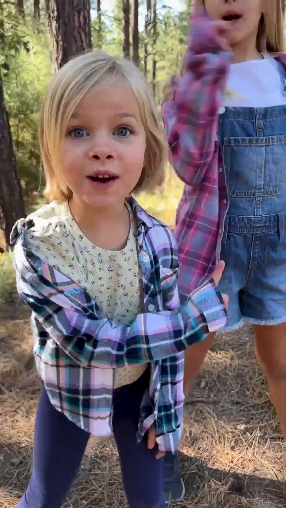 monkeys #funny #kidssong