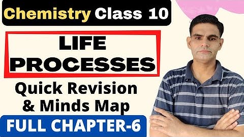 Life Processes Class 10 Science| Full chapter quick Revision and mind maps | Biology chapter 6
