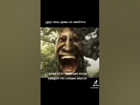 мудрый дуб - YouTube