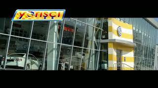 Volkswagen Euro Style Ltd Bmw Bayerische Motoren Werke Improtex Motors