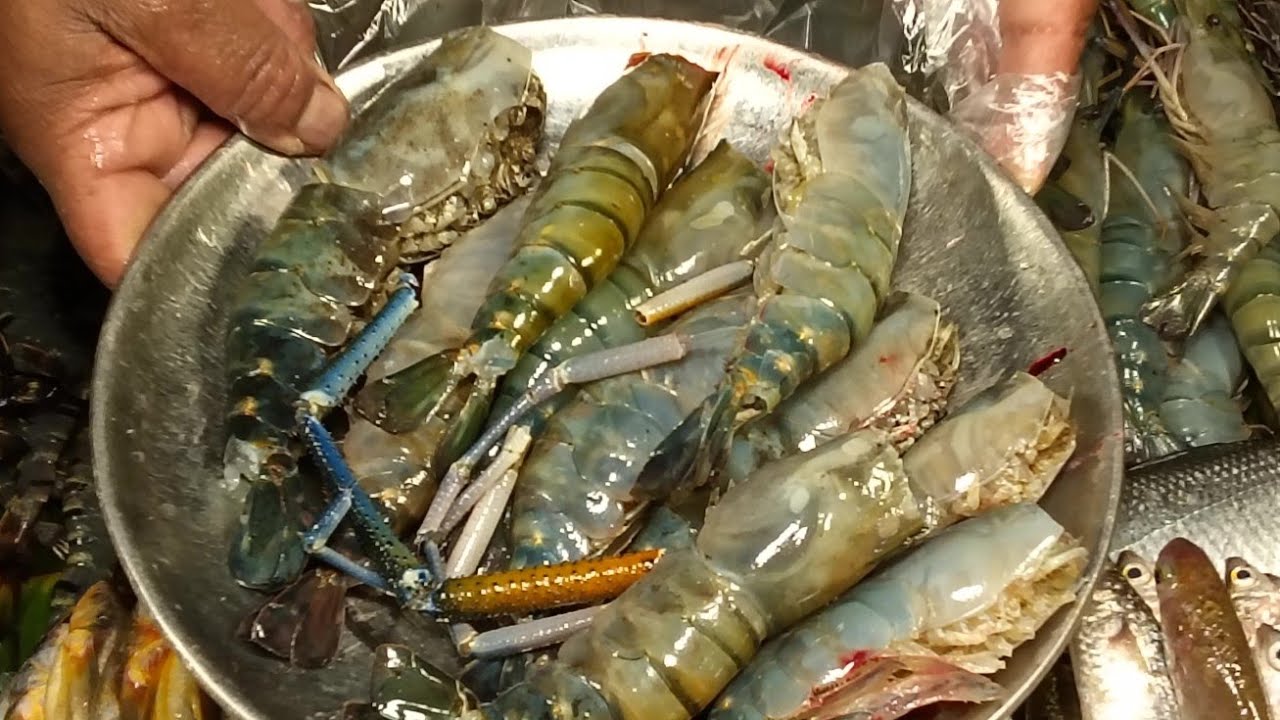 ইলিশ ও চিংড়ি প্রেমিদের জন্য ভিডিও দিলাম, 🤓টেনে দেখলে মিস @dipasett164 #DipaSett