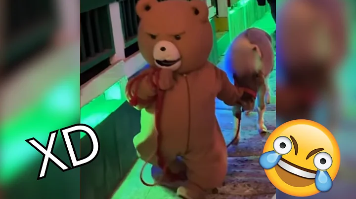 COMPILATION 😂 IF YOU LAUGH YOU LOSE HARD 🤡 | VERY XD MOMENTS 2025 🚨