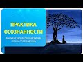 Практика осознанности. Фрагмент бесплатного вебинара "Этапы пробуждения"