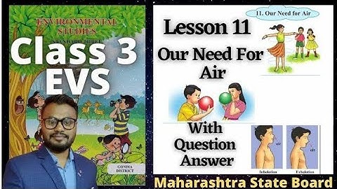Lesson 11  Our Need For Air | EVS | Maharashtra State Board Student point academy Part 1