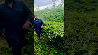 Riding Through the Mountains of Sreemangal 🏍️⛰️🌿