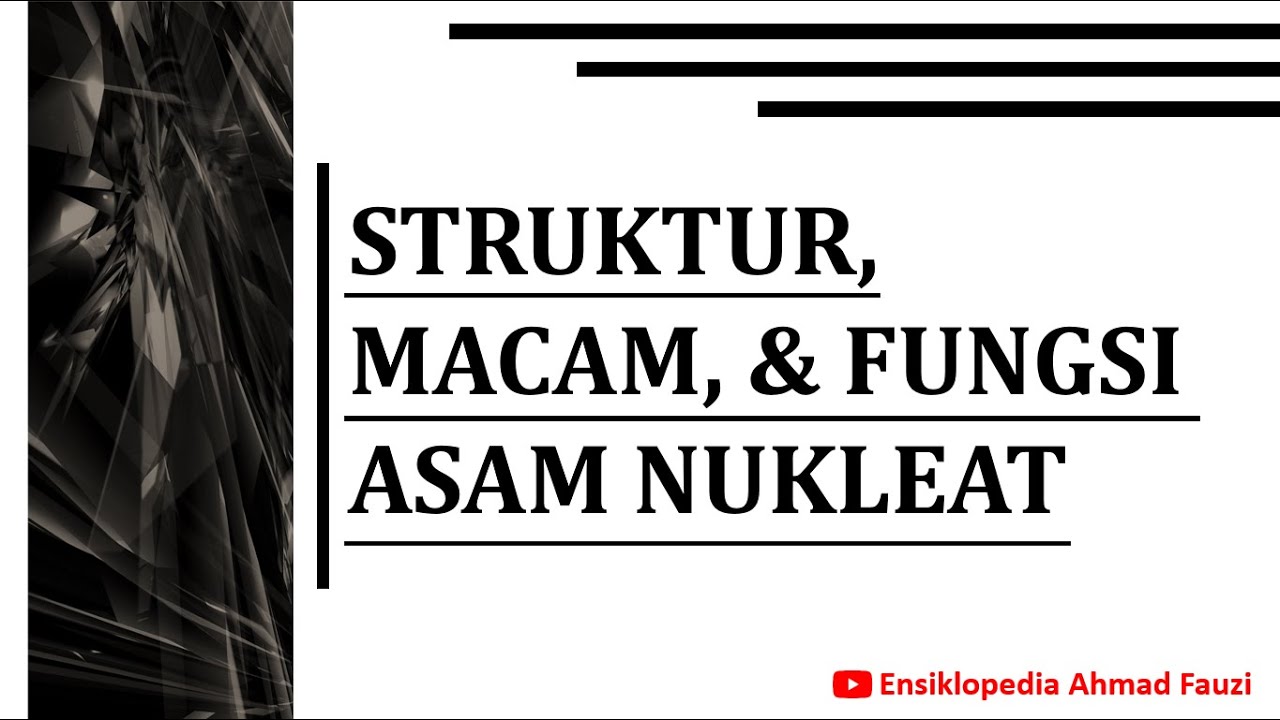 Struktur, Macam, dan Fungsi Asam Nukleat (DNA dan RNA)