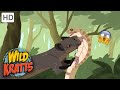 Wild Kratts | Cobra VENOM|Wildlife