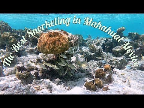 The Best beach for Snorkeling in Mahahual Costa Maya Mexico