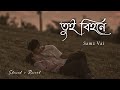Tui Bihone - তুই বিহনে - Samz Vai (Slowed   Reverbed) - ROJIT SLOWED MUSIC ||