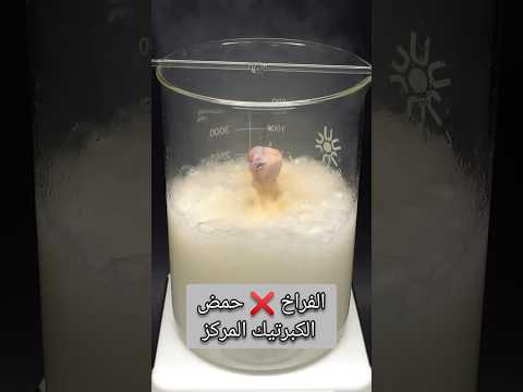 الفراخ في حمض الكبرتيك المركز علوم Shorts Science Funny كيمياء