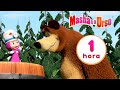 Masha e o Urso 👱‍♀️🐻 🐼 Novas amizades 🐧🐷Compilação 5 🎬 1 hora de desenhos animados