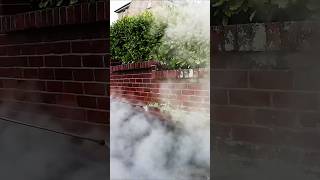 This Steam Clean Is Unbelievable Wow