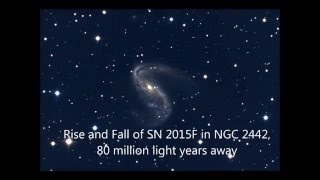 The Rise and Fall of Supernova 2015F