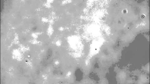 Division of a bacterial cell