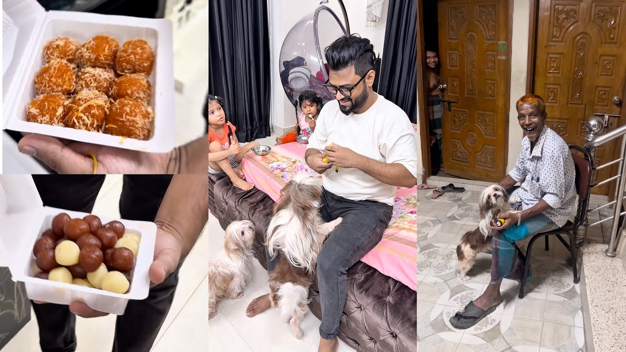 Мы чуть не потеряли Стейси. #ши-тцу #милыепитомцы #реальнаяисторияжизни #влог