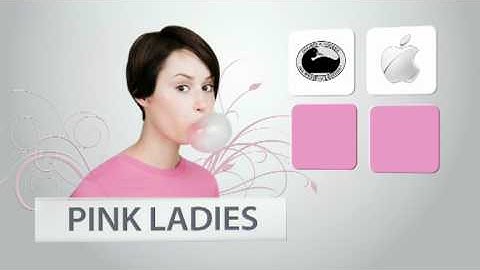 AccessoryGeeks.com Gift Guide for Pink Ladies