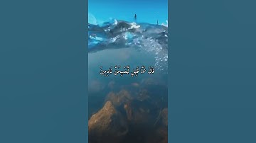واتس اب قران كريم القارئ ماجد الحازمي (سوره المؤمنون)