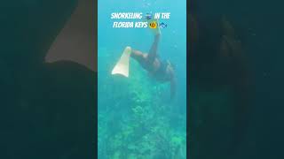 Snorkeling in the FLORIDA KEYS | Looe Key Reef 🤿 🐠🐟